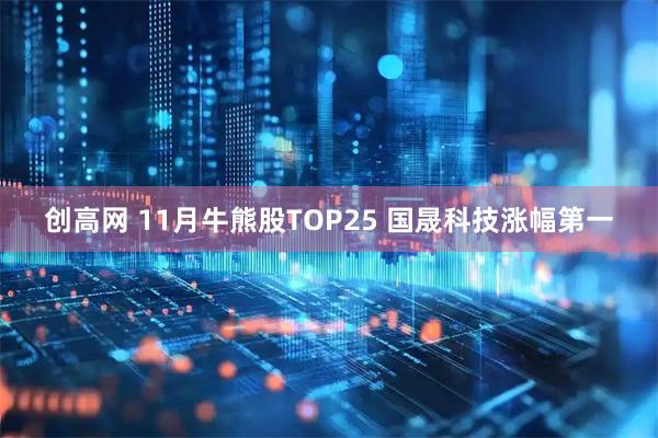 创高网 11月牛熊股TOP25 国晟科技涨幅第一